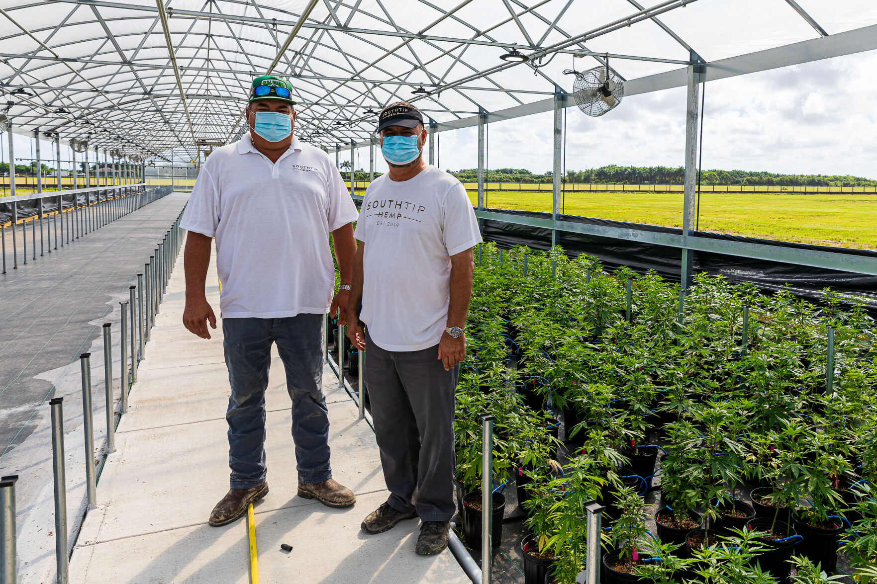 Sal Finocchario and Leo Talario stand next to hemp plants ready to be transplanted into the outside fields.